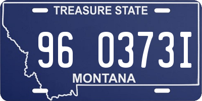 MT license plate 960373I