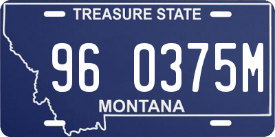 MT license plate 960375M