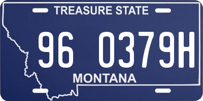 MT license plate 960379H