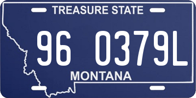 MT license plate 960379L