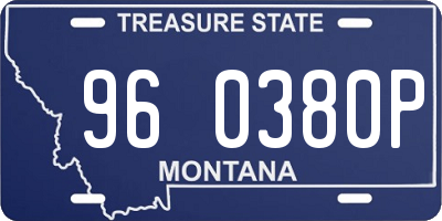 MT license plate 960380P