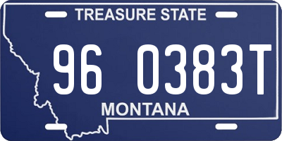 MT license plate 960383T