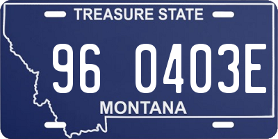 MT license plate 960403E