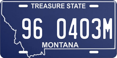 MT license plate 960403M