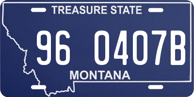 MT license plate 960407B