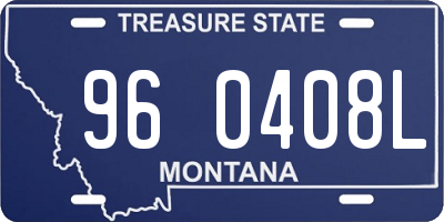 MT license plate 960408L