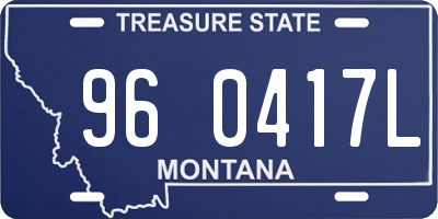 MT license plate 960417L