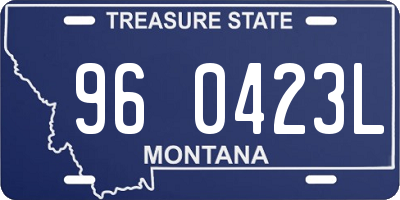 MT license plate 960423L