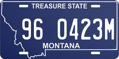 MT license plate 960423M