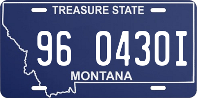 MT license plate 960430I