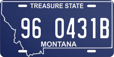 MT license plate 960431B