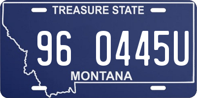 MT license plate 960445U
