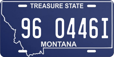 MT license plate 960446I