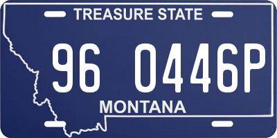 MT license plate 960446P