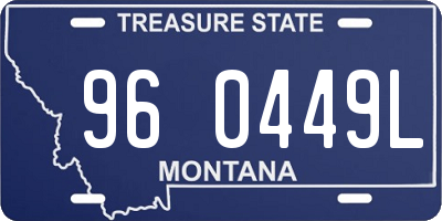 MT license plate 960449L