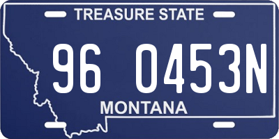 MT license plate 960453N