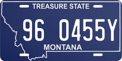 MT license plate 960455Y