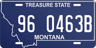 MT license plate 960463B
