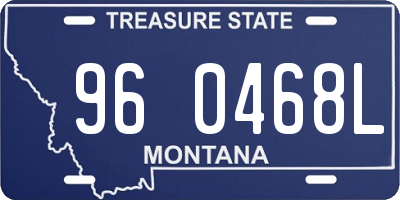 MT license plate 960468L
