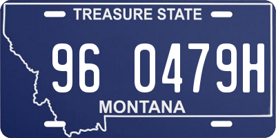 MT license plate 960479H