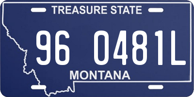 MT license plate 960481L