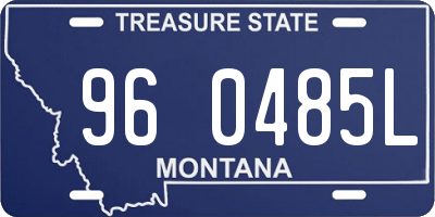MT license plate 960485L