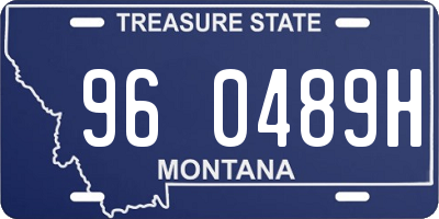 MT license plate 960489H