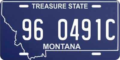 MT license plate 960491C