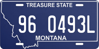 MT license plate 960493L
