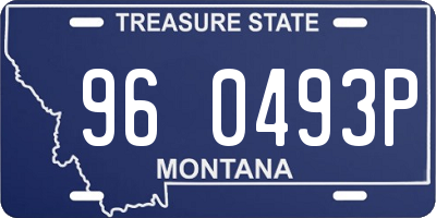 MT license plate 960493P