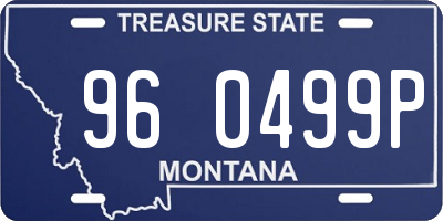 MT license plate 960499P