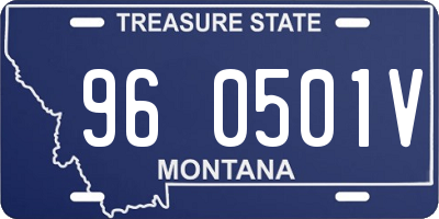 MT license plate 960501V