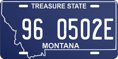 MT license plate 960502E