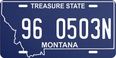 MT license plate 960503N