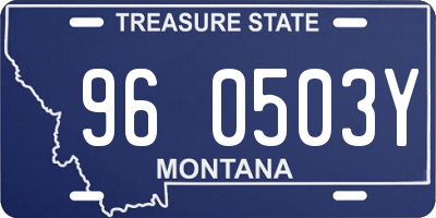 MT license plate 960503Y