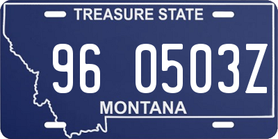 MT license plate 960503Z