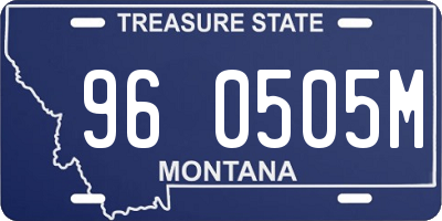MT license plate 960505M