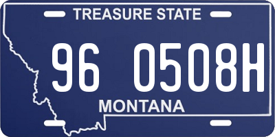 MT license plate 960508H