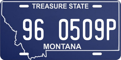 MT license plate 960509P