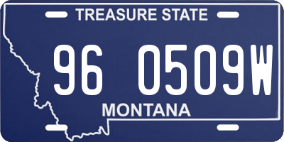 MT license plate 960509W