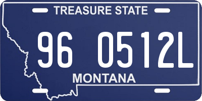 MT license plate 960512L