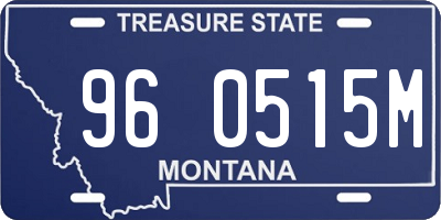 MT license plate 960515M