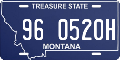MT license plate 960520H