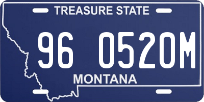 MT license plate 960520M