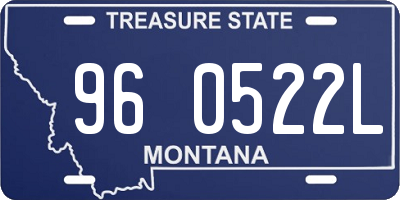 MT license plate 960522L