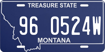 MT license plate 960524W
