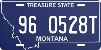MT license plate 960528T