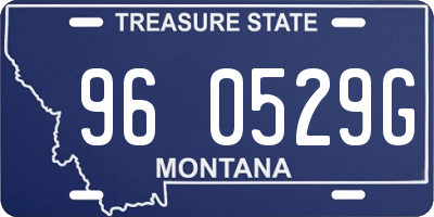 MT license plate 960529G