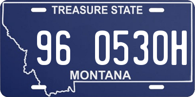 MT license plate 960530H