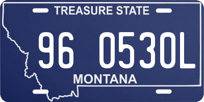 MT license plate 960530L